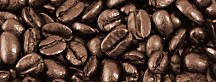 Obraz Kávové zrno zs391